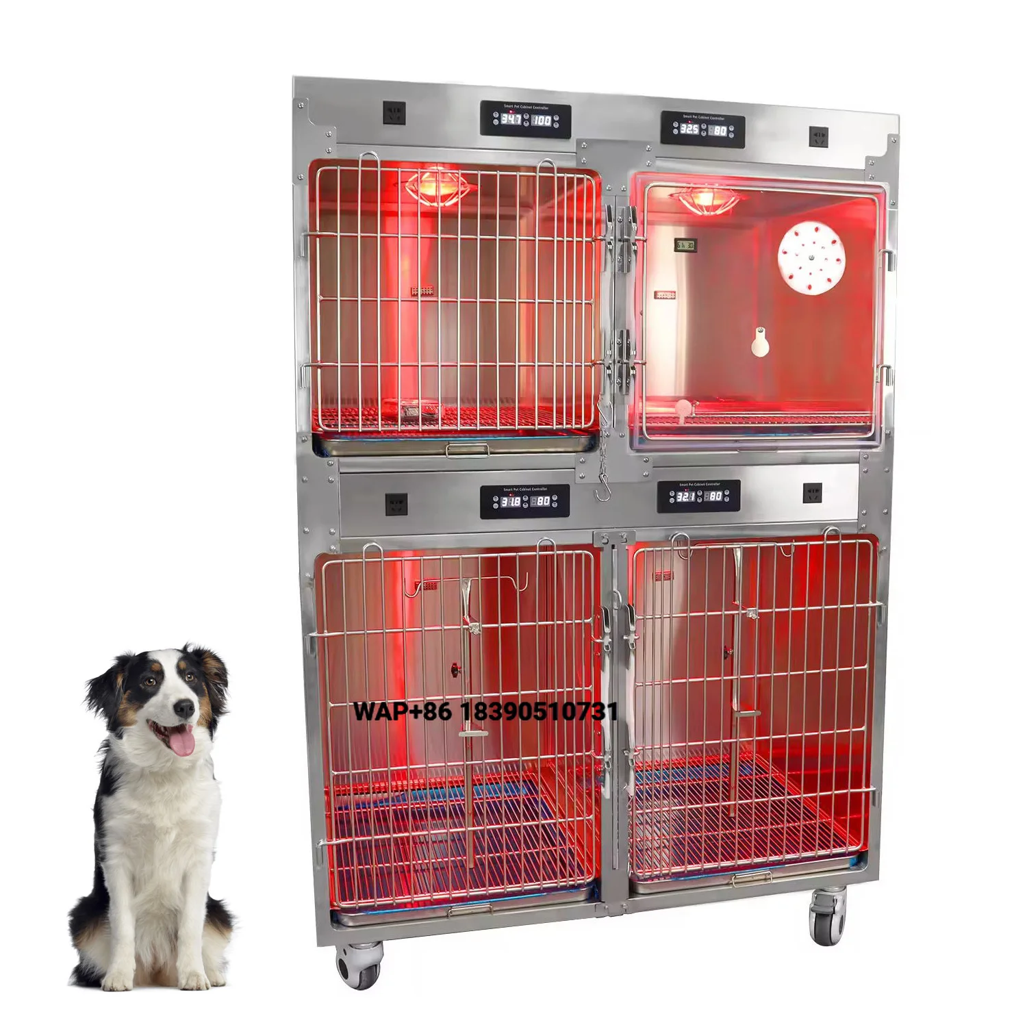 Longermay Veterinary Pet Veterinary Clinic Hospital Medical Equipment Stainless Steel ICU Unit Cage