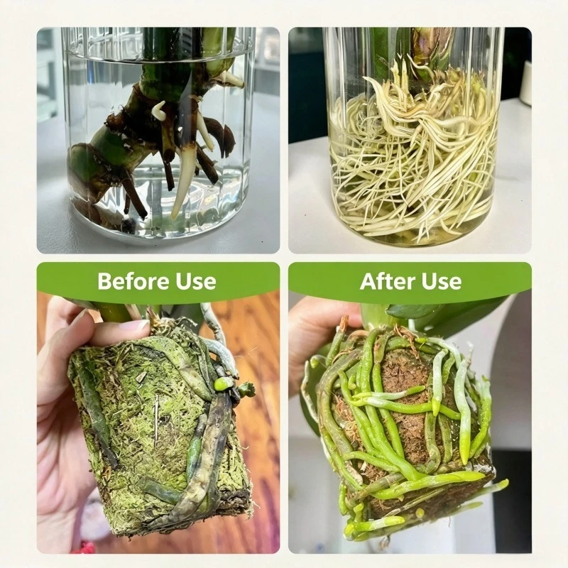 100g Rooting Powder Fast Rooting Strong Seedling Hormone for Flower Plant Cutting Propagation Transplant Survival General Kit