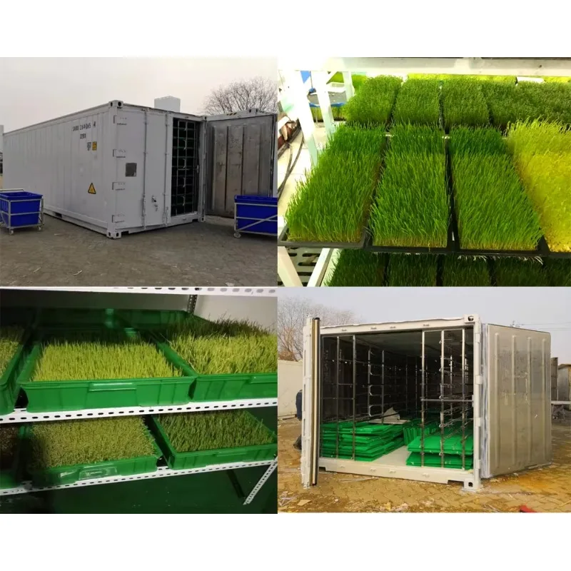 Hot-selling hydroponic feed planter controlled drip irrigation Alfalfa wheatgrass seedlings easy to operate