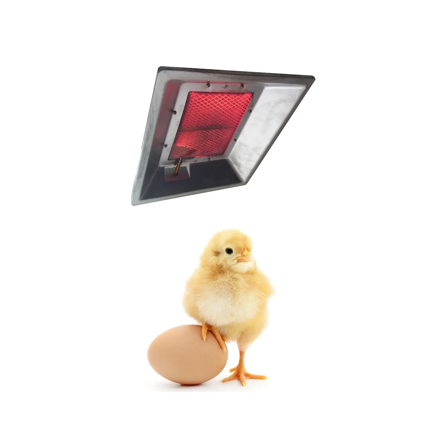 

New Poultry Farm Ceramic Chicken Gas Brooder with Heater for Piglet Care