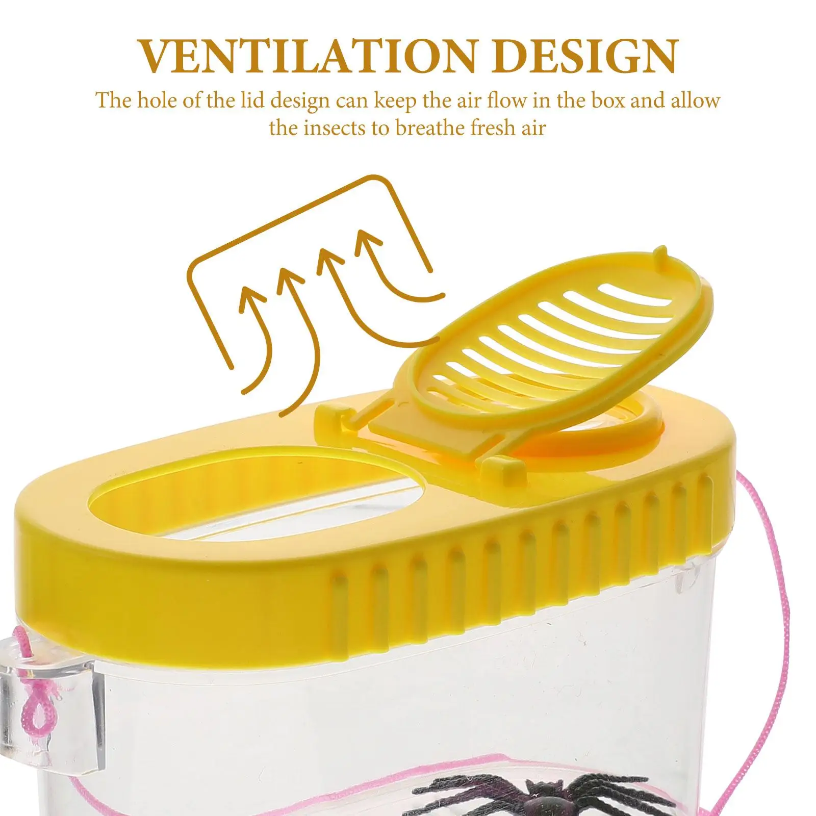 

2Pcs Insect Observer Viewer Magnifier Plastic Multi-function Critter Boxes High Transparency Air Gift Kids