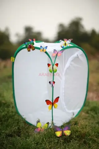 대형 나비 케이지 접이식 애완 동물 모기장, 카멜레온 파충류 사육 상자, PVC 식물 투명 온실