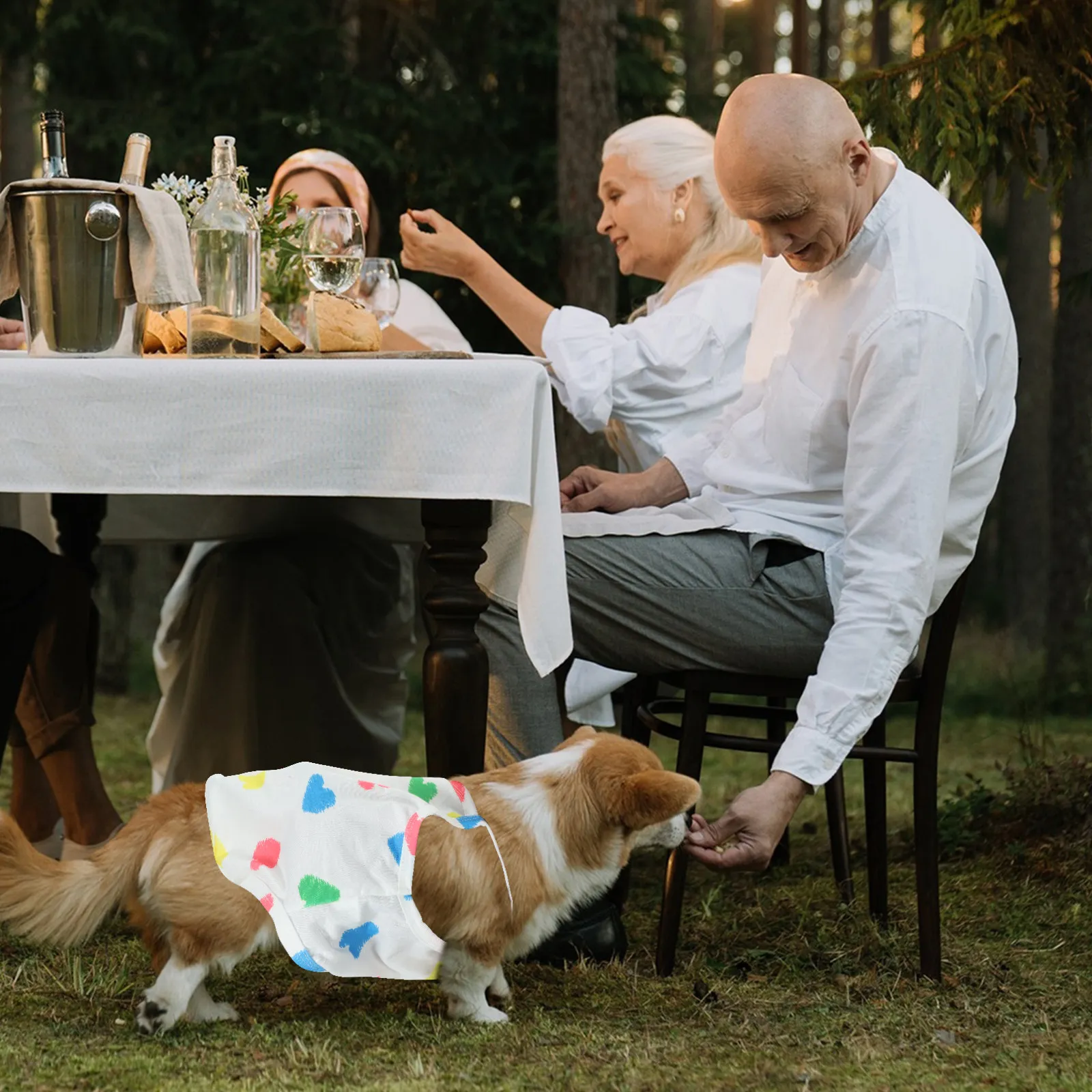 

Летний жилет для собак и кошек: легкий, дышащий, с изысканной отделкой, удобный для прогулок, нарядное платье для вечеринок, очаровательный наряд для собак