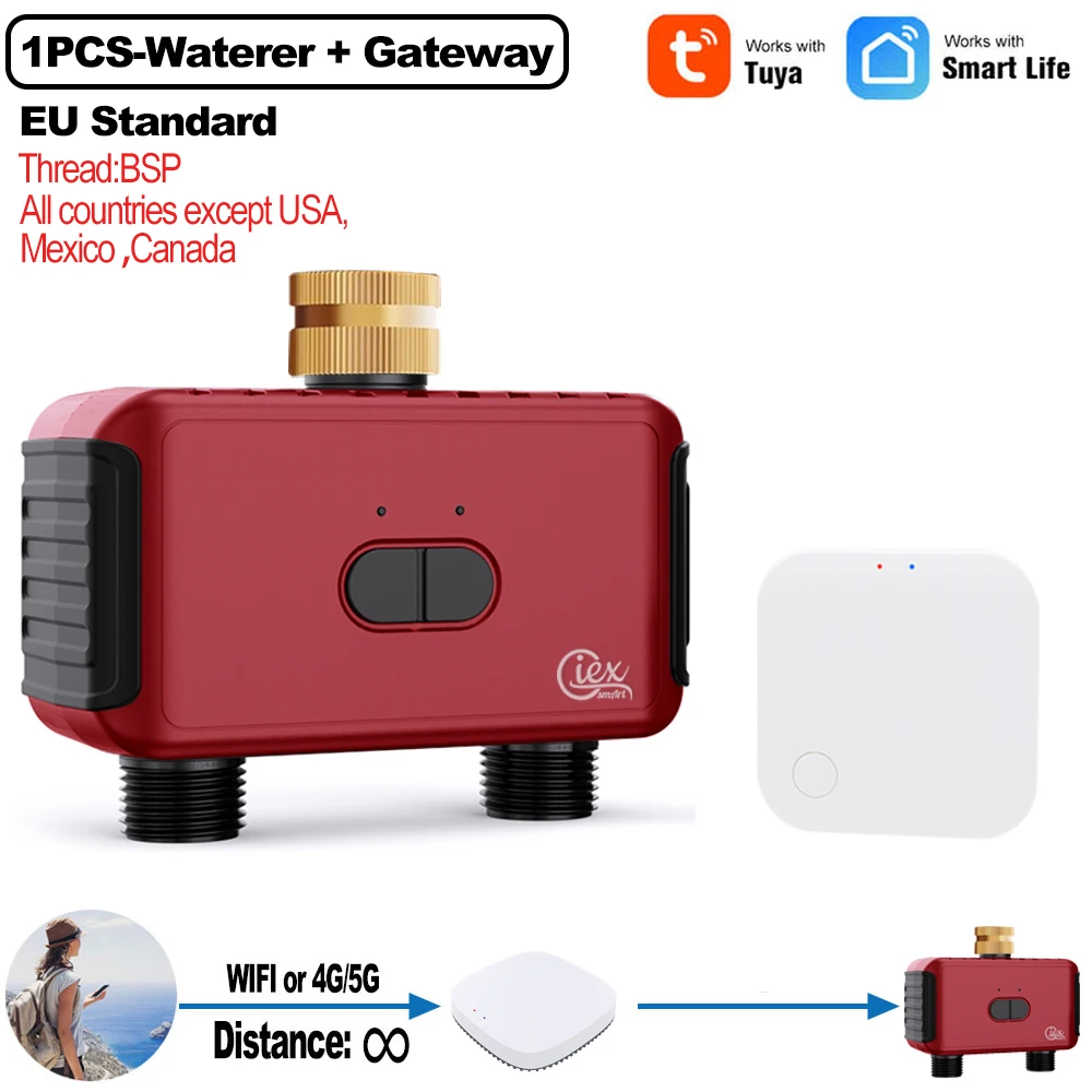 WIFI ZIGBEE Smart 2-zone besproeiingstimer Tuin Automatisch irrigatiesysteem Drip Sprinkler Controller Klep Smart Life Tuya - afbeelding 1
