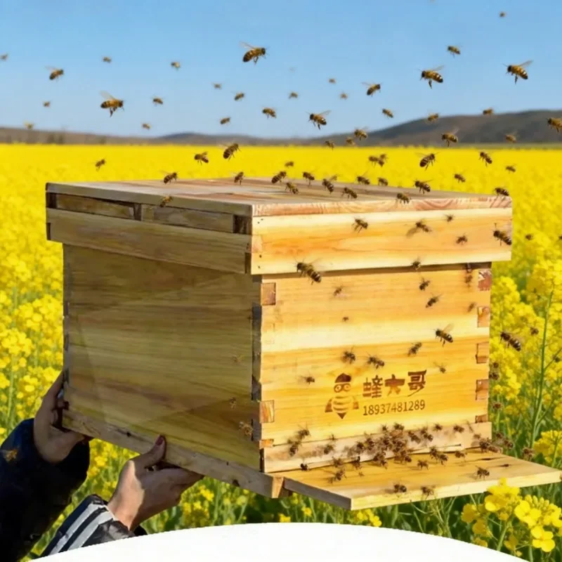 Flowhive Bee Hive Height Automatic Hive Flow Hives Free Shipping Wings Frames Apicultura Queen Bee Swarm Commder Bees Material