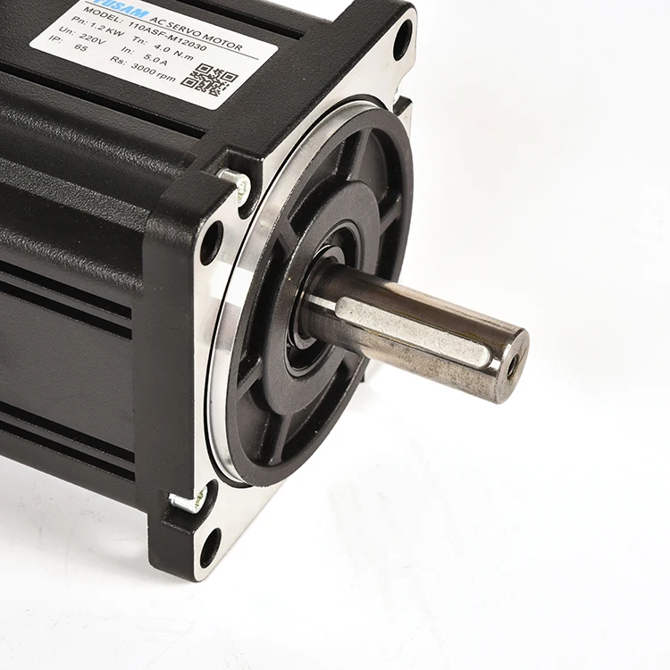 

Manufacturer Low Price Ac Servo Motor 220v 110mm 1800w 3 Phase Large Inertia Servo Motor for Sewing Machine Motor