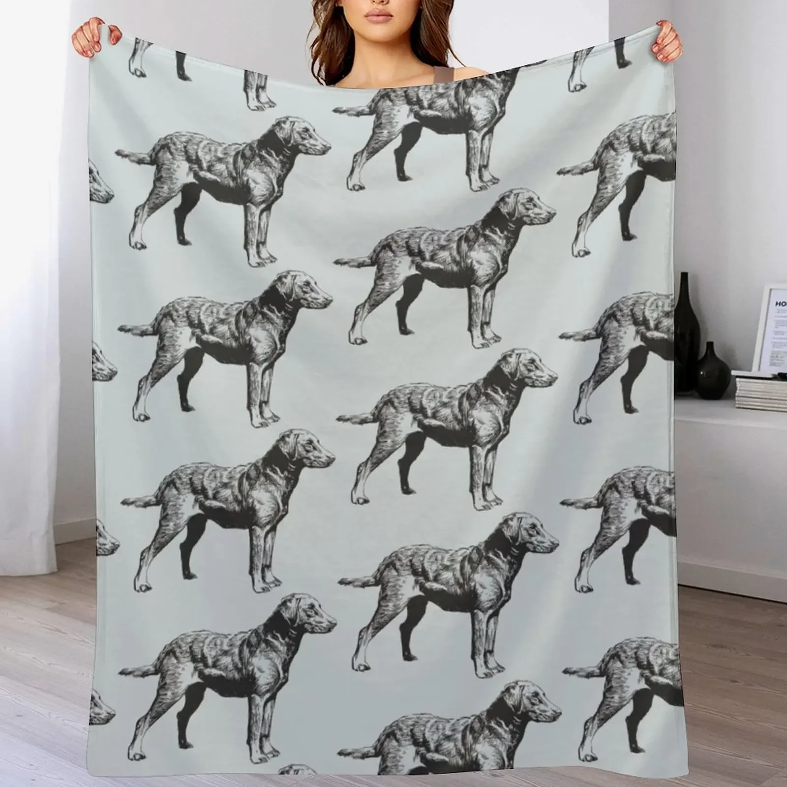 

Chesapeake Bay Retriever Throw Blanket Camping Hairys Soft Big Luxury Thicken Blankets