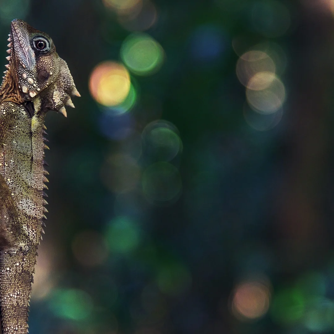 

Gg 12,3-дюймовый цифровой кластерный ЖК-дисплей приборной панели кабины для Jeep Wrangler 2011-2017 замена OEM прибора