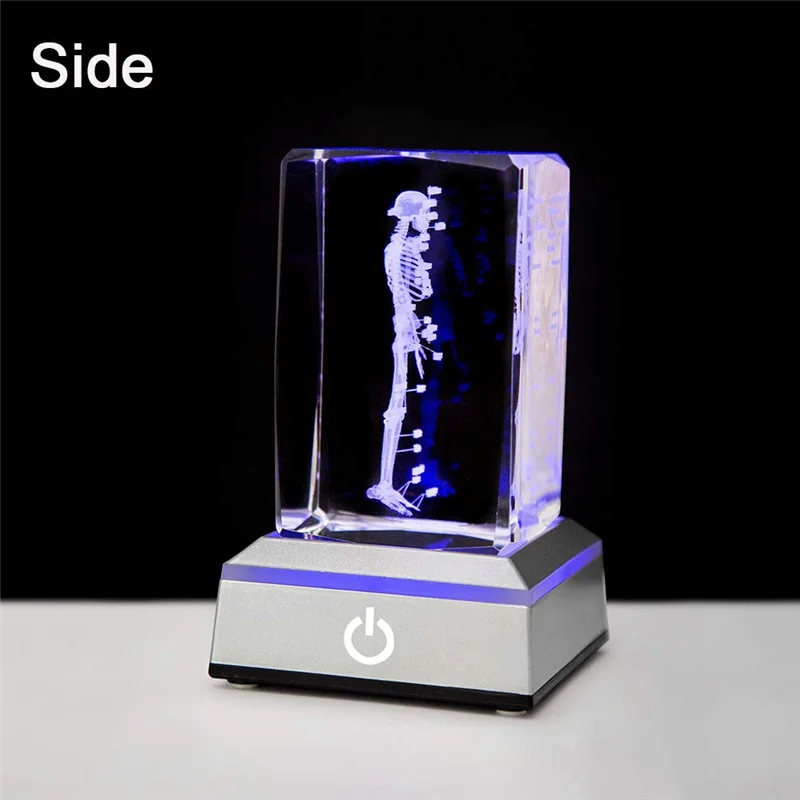 

Human Skeleton Model -Statue Bone Item Crystal Label Skeleton Model For Students