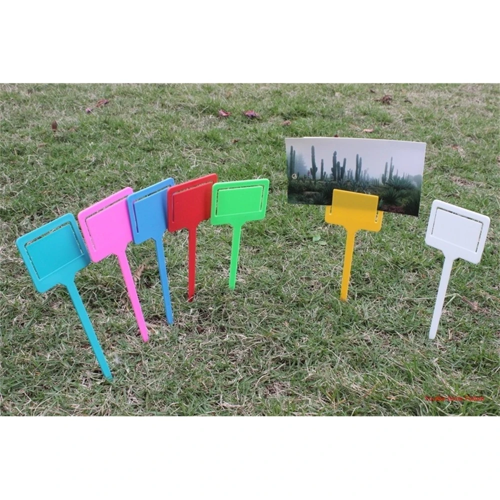 Fruit Prijs Display Pvc Tuin Labels Zaailing Labels Plant Labels Plastic Tag Plaat