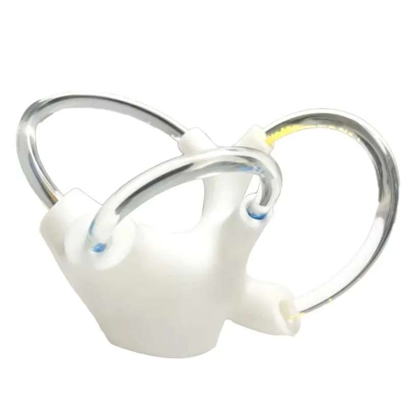 Human Inner Ear Anatomical Model with Semicircular Canals & Otolith, Teaching Model Showing Cochlea and Ear Structure