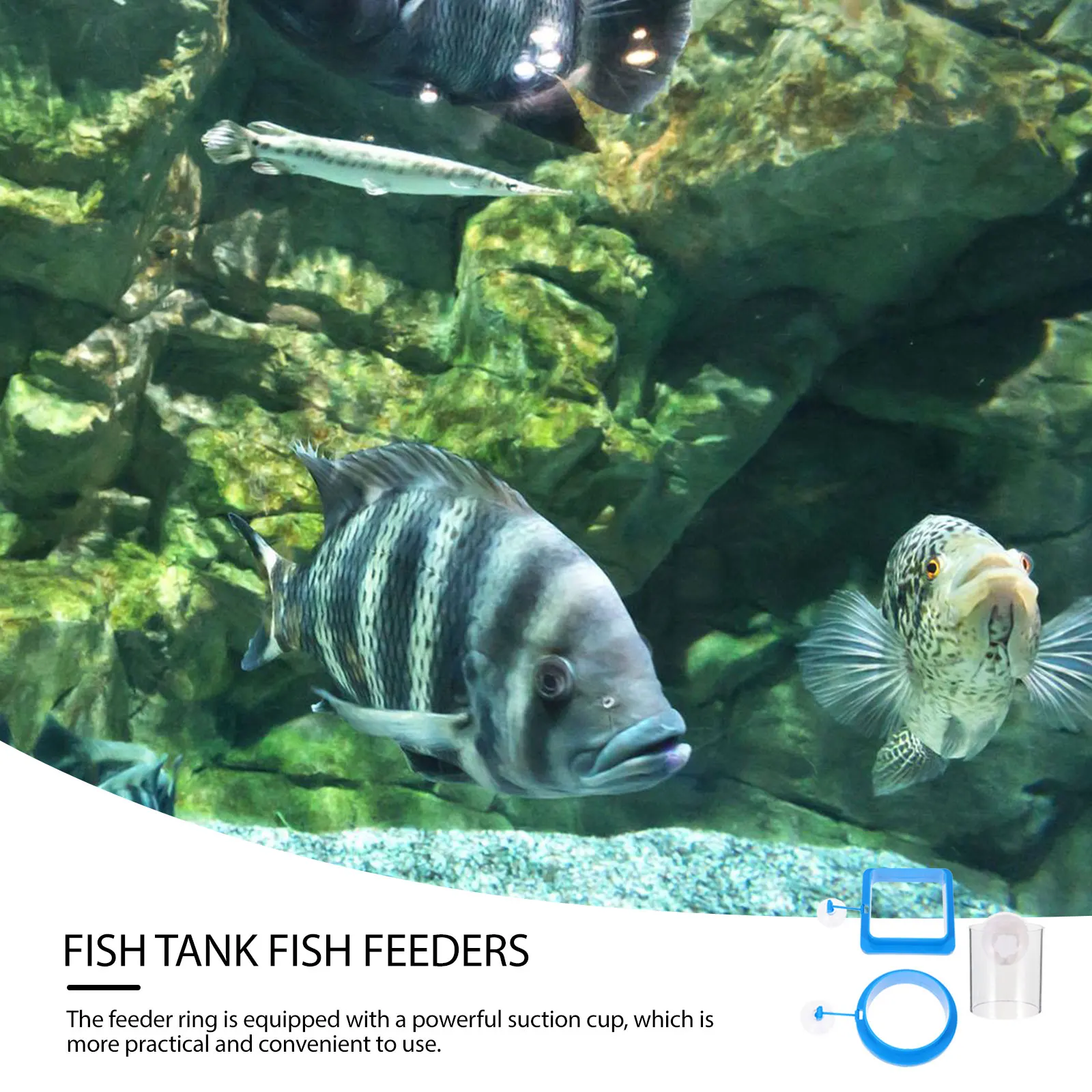 

3pcs Feeding Ring Floating Fish Feeding Ring Feeder Circles Durable Aquarium Tank Silica Gel Acrylic Pet Supplies