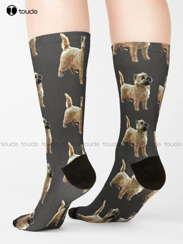 Cairn Terrier Beautiful Dog Socks Sock For Women Unisex Adult Teen Youth Socks 360° Digital Print Harajuku Streetwear Gift Retro