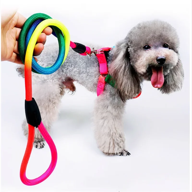 3pcs Rainbow Nylon Dog Collars Harnesses Set Dog Walking Training Dog Personalized Leash 120/160cm Dog Harness Pet Supplies