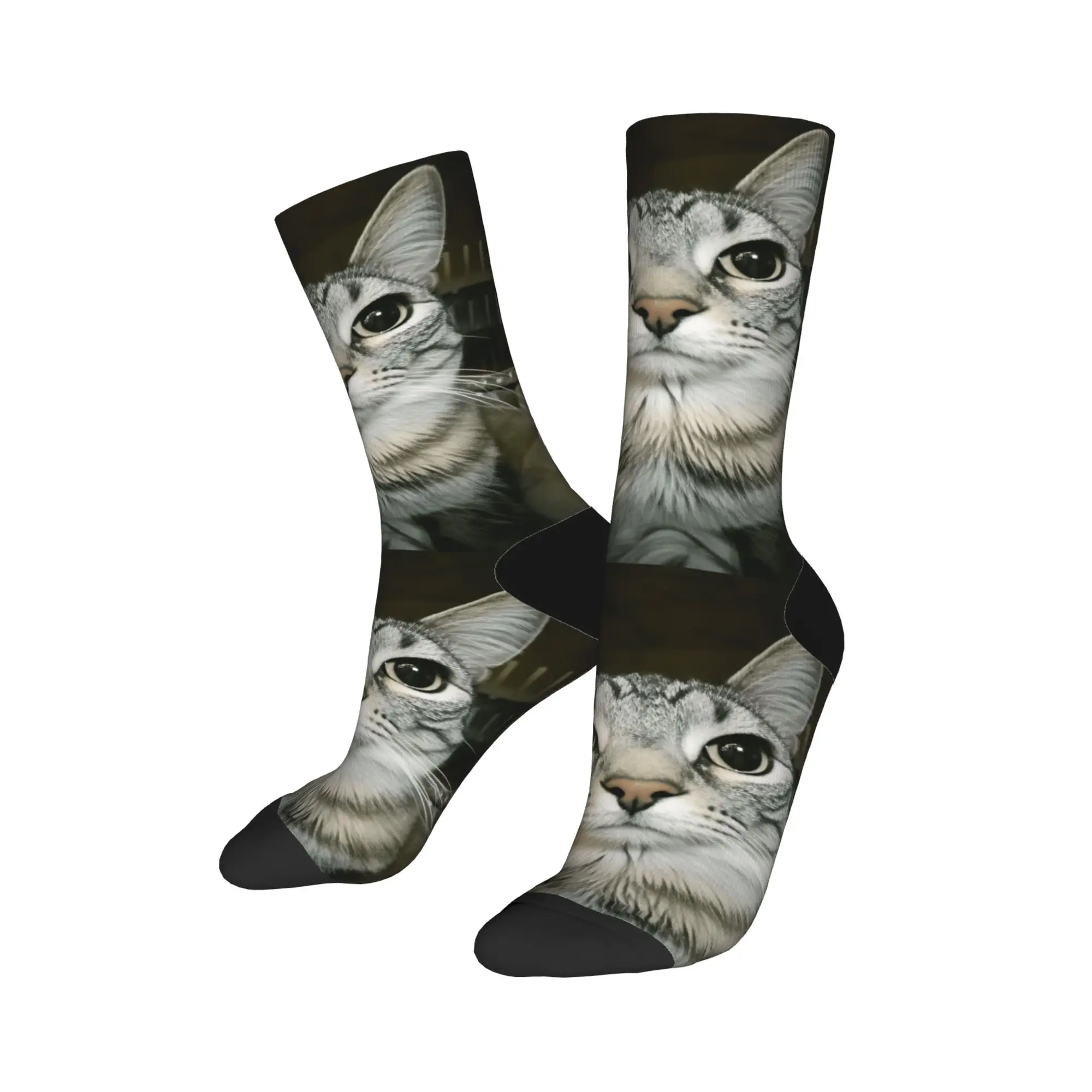 

Мужские носки, чулки с забавными мемами для домашних животных, весенние качественные носки Kawaii, противоскользящие носки для спорта на открытом воздухе с принтом