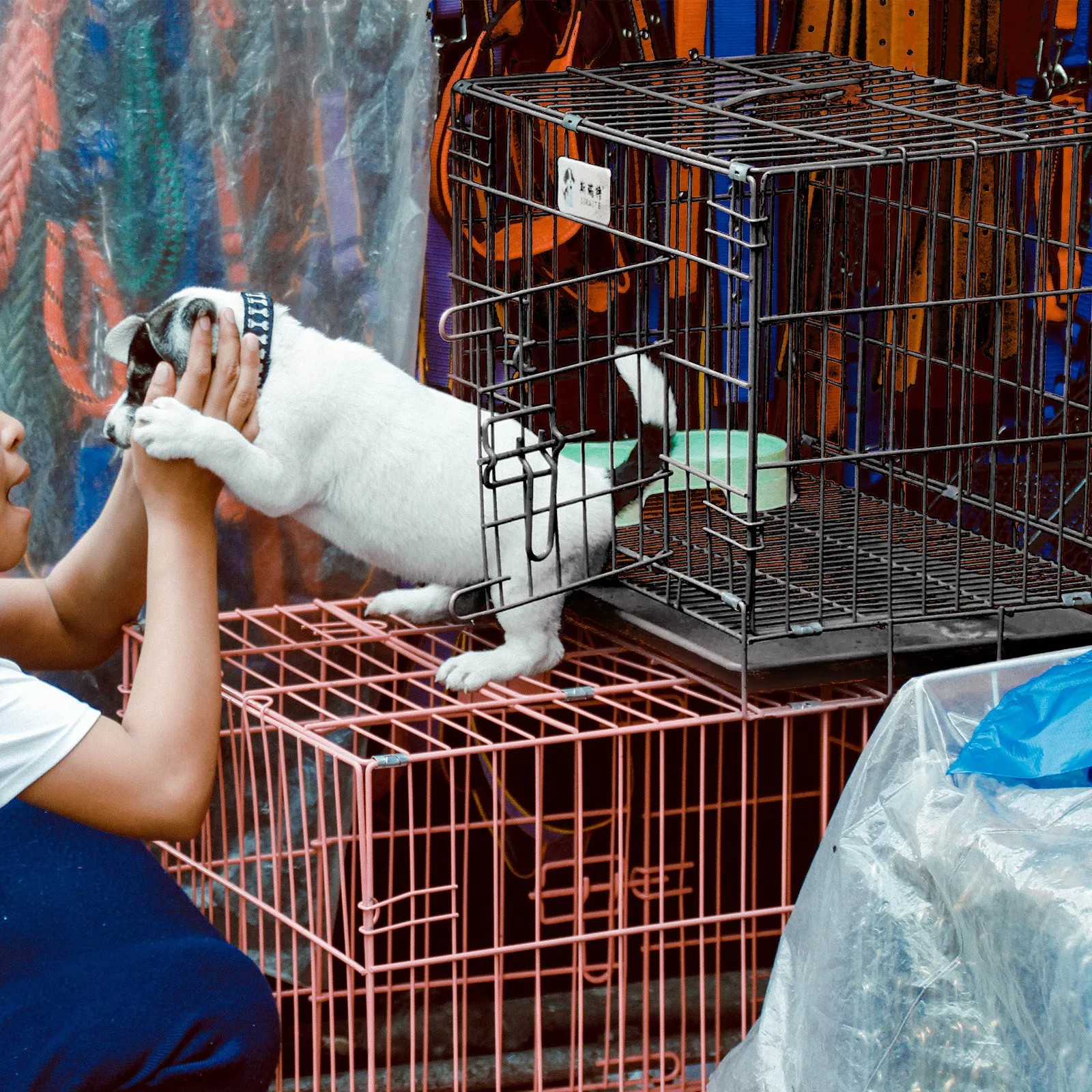 

Комплект: Складная металлическая клетка для собак с железной проволокой и съемным поддоном, для домашнего использования