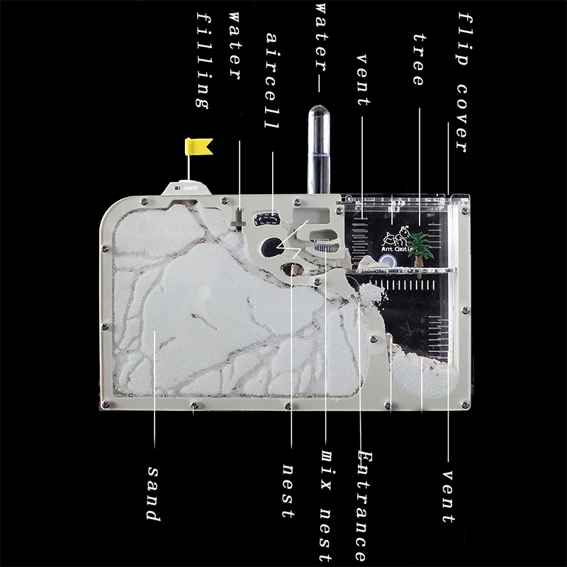 Thumbnail 3 - #25 New Ant Farms Arrivals
