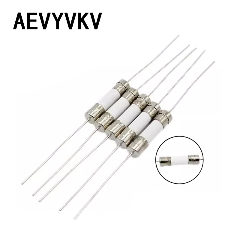 10-100PCS 5*20mm Ceramic fuse Slow Blow tube fuse With a pin 5x20mm 250V 0.5A 1A 2A 3A 4A 5A 6A 7A 8A 10A 12A 15A 20A 25A 30A