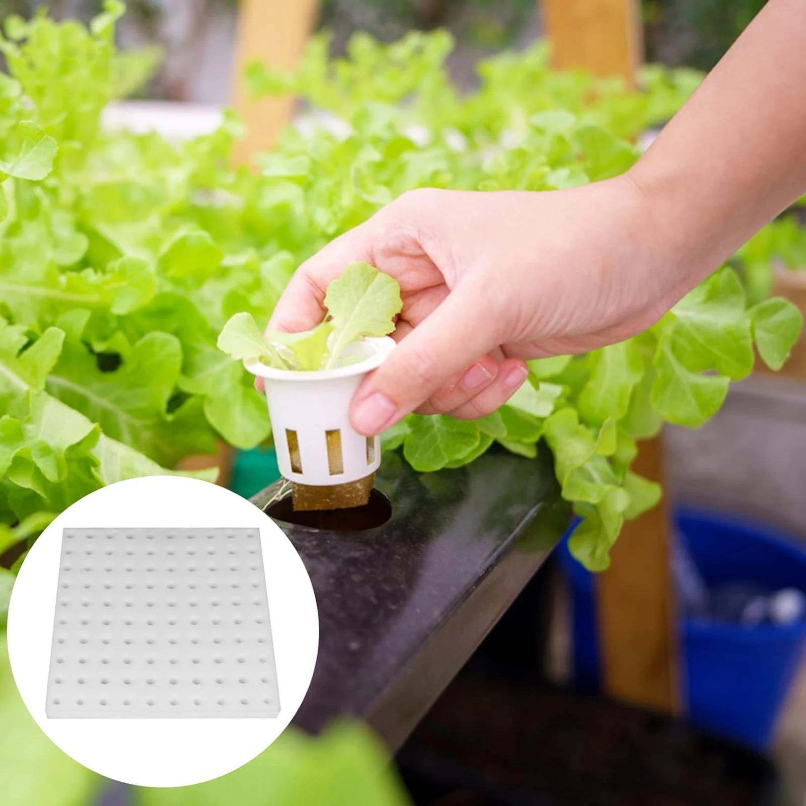 Breathable Hydroponic Sponges High-Efficiency for Indoor Gardening Soilless Seedling Starter Cubes Plant Propagation Kit
