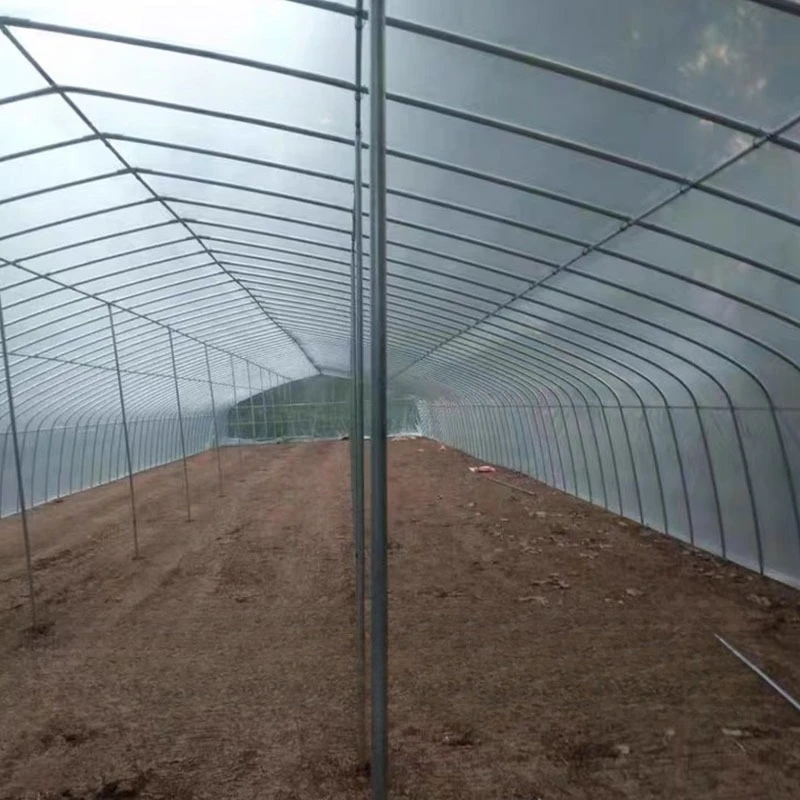 โครงสร้างโครงกระดูกเรือนกระจกการเกษตรขนาดใหญ่ที่มีประสิทธิภาพพืชเรือนกระจกชั้นเดียวปลูกเหล็กวัสดุอลูมิเนียม