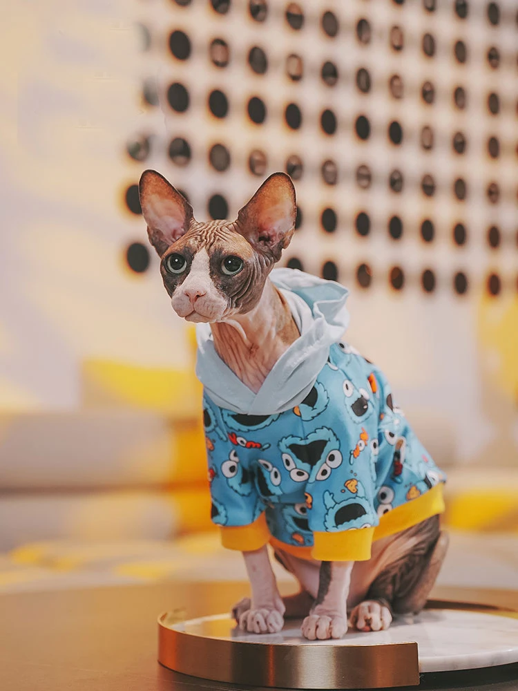Cat Clothing for Sphnx Soft Cotton Cartoon Jacket For Devon Rex Baseball Uniforms for Cat Warm Coat for Kittens in Autumn Winter