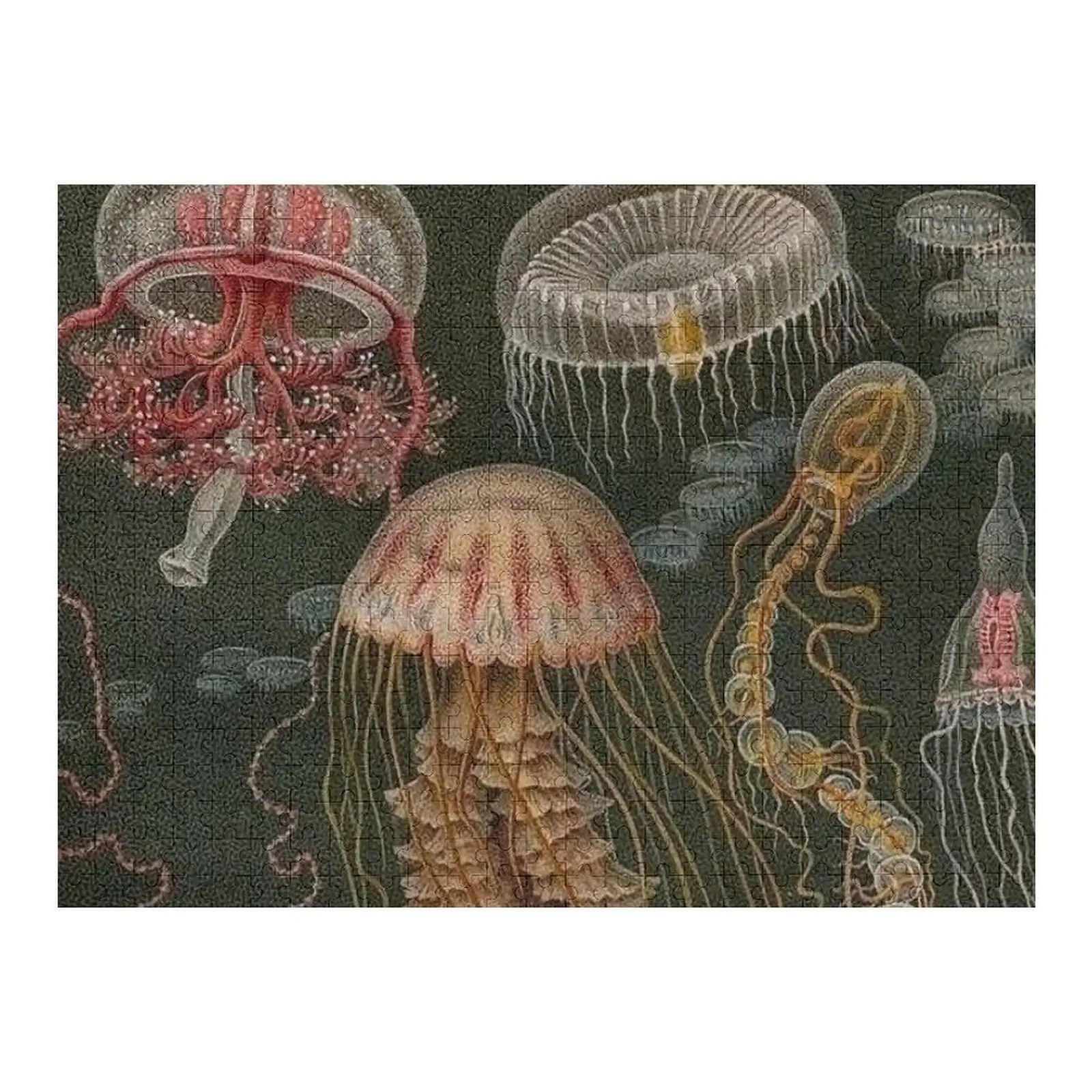 

Dark Jellyfish Poster Jigsaw Puzzle Customizable Child Gift Adult Wooden Puzzle