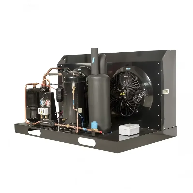 Condensing Unit Scroll Compressor Air Cooled Condensing Unit for Cold Room Commercial Refrigeration System