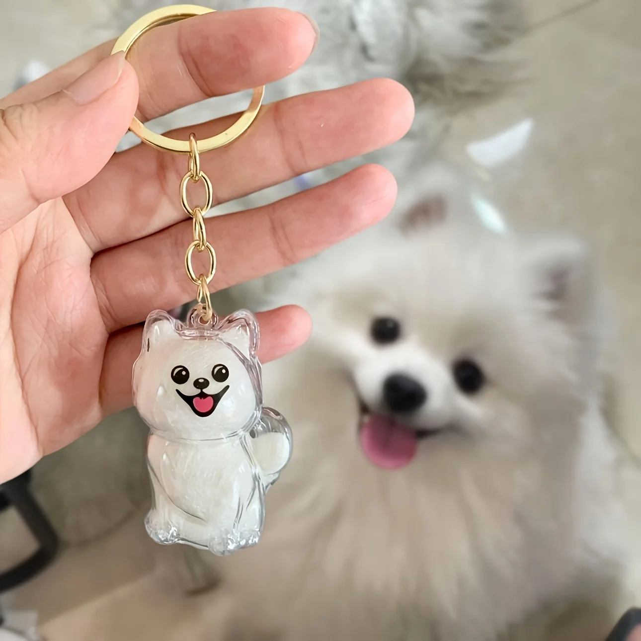شفافة القط/الكلب مجموعة الشعر كبسولة المفاتيح Kawaii التذكاري الحيوانات الأليفة القط الكلب الشعر كبسولة لسلسلة المفاتيح DIY قلادة التبعي