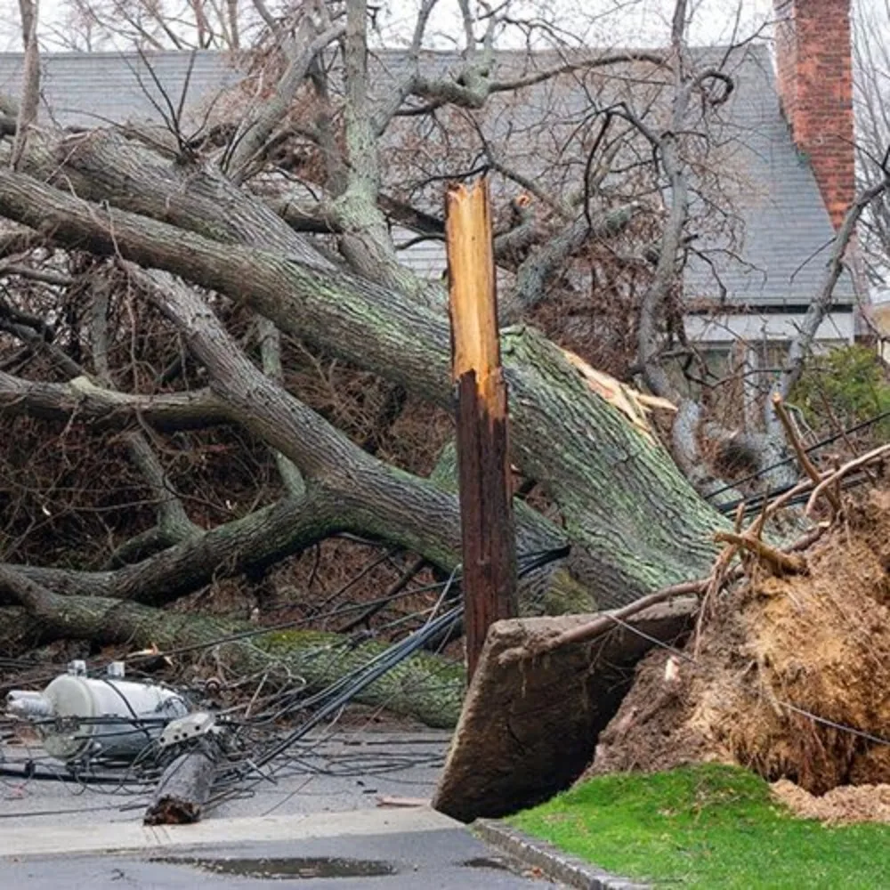 Scanner BearTracker com 9.000 canais, TrunkTracker III, Design Base e Móvel, Close Call, Captura RF, BCT15X