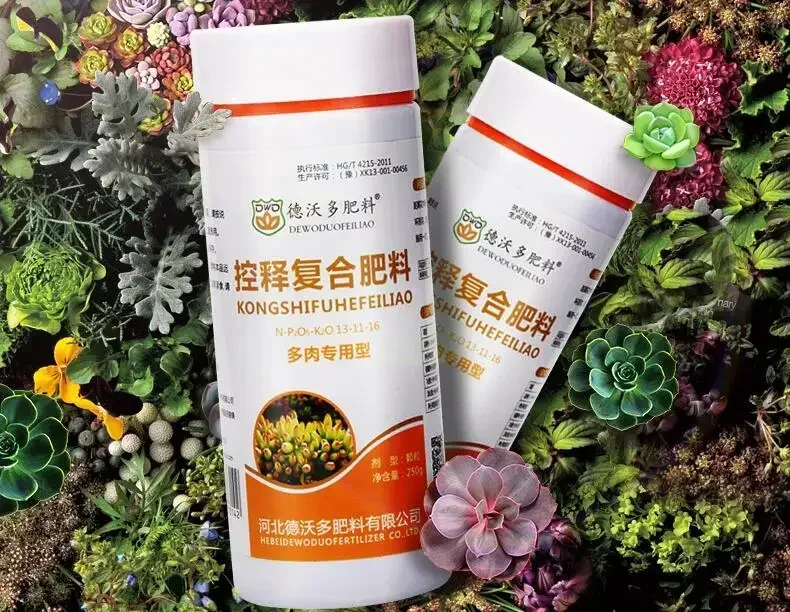 250 Grams Controlled Release Compound Fertilizer, Succulents Plant Special Npk Slow Release, Long Effect Home Garden