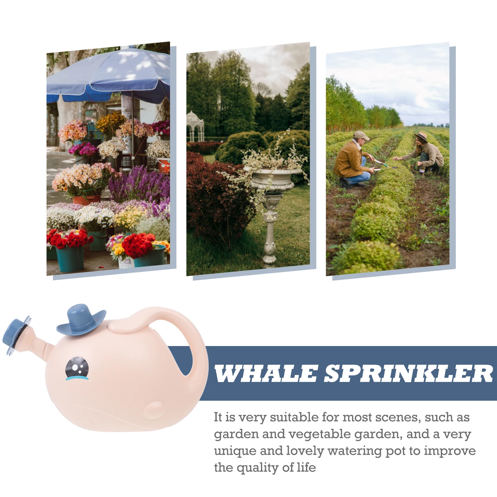 

Whale Shape Watering Pot, Durable Garden Tool For Indoor Outdoor Plants, Succulent Watering Can With Detachable Nozzle