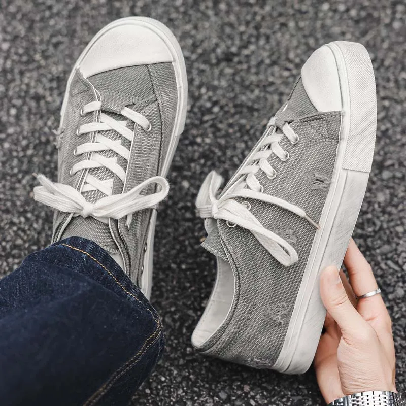 Shoes for Men Canvas Casual Shoes Trend Broken Hole Flat Skateboard Shoes Youth Cool Lace-up Sneakers