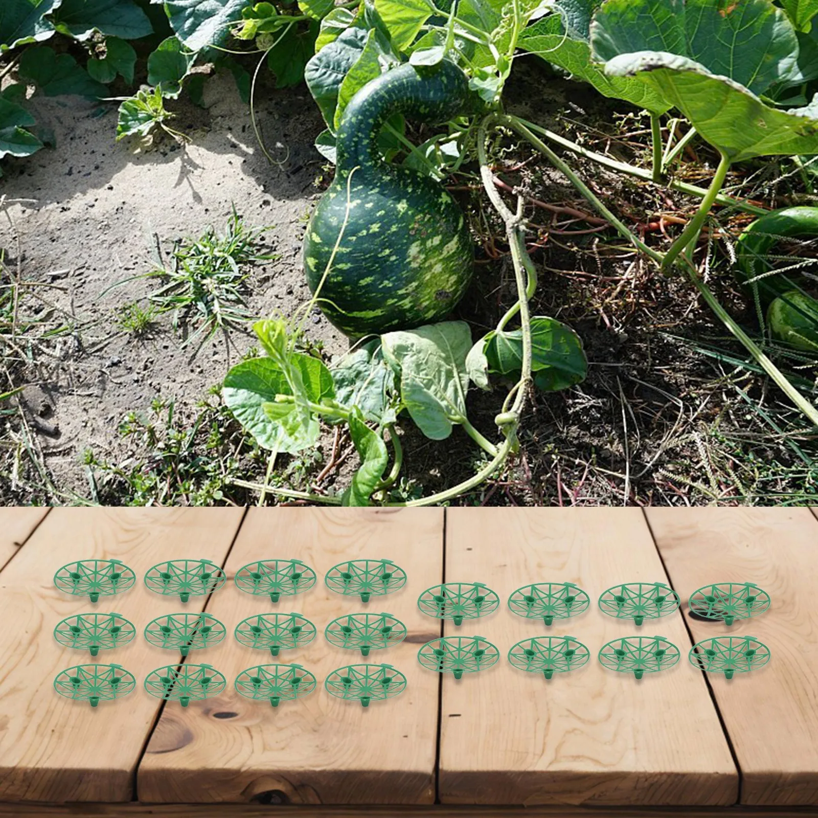 20 Pack For plant Support Brackets for Watermelon and Vegetables Optimize Your Garden with Reliable Upright Growth