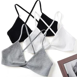 Sujetador sin costuras con escote en V profundo para mujer, Bralette fino triangular Sexy, Tops traseros, ropa interior de inmersión, chaleco de tubo, lencería transpirable