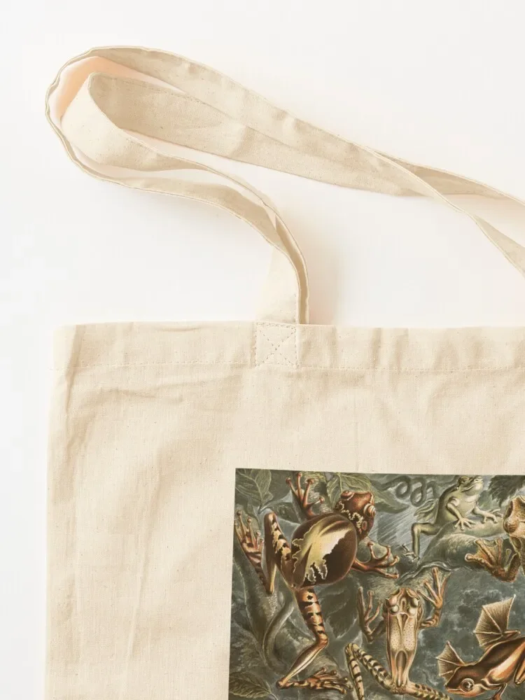 طباعة ضفدع كوتيج كور: حقيبة حمل جمالية أكاديميا داكنة، جوبلينكور الجرونج، فيري كور فروجي، حقيبة حمل سحرية على الطراز القوطي الغامضة #3