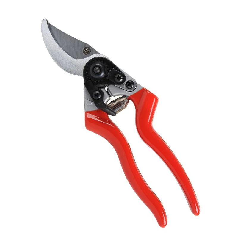 

SK5 Gardening Pruning Shears Fruit Potted Plants Nursery Pruning Scissors Garden Hand Tools Professional Cuttter Shear Flowers