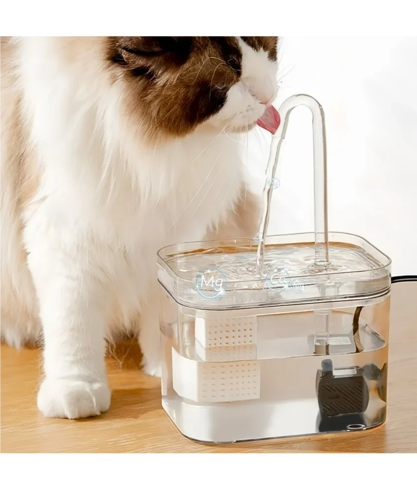 

Transparent cat drinking fountain automatic circulating live water drinking basin dog smart drinking fountain pet supplies