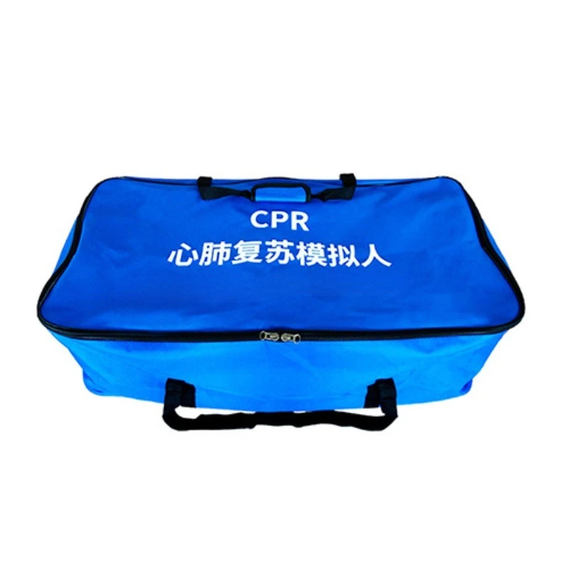 Half-Body Cpr First Aid Training Simulation Human Medical Education Practice Simulation Human Body Model Medical Use