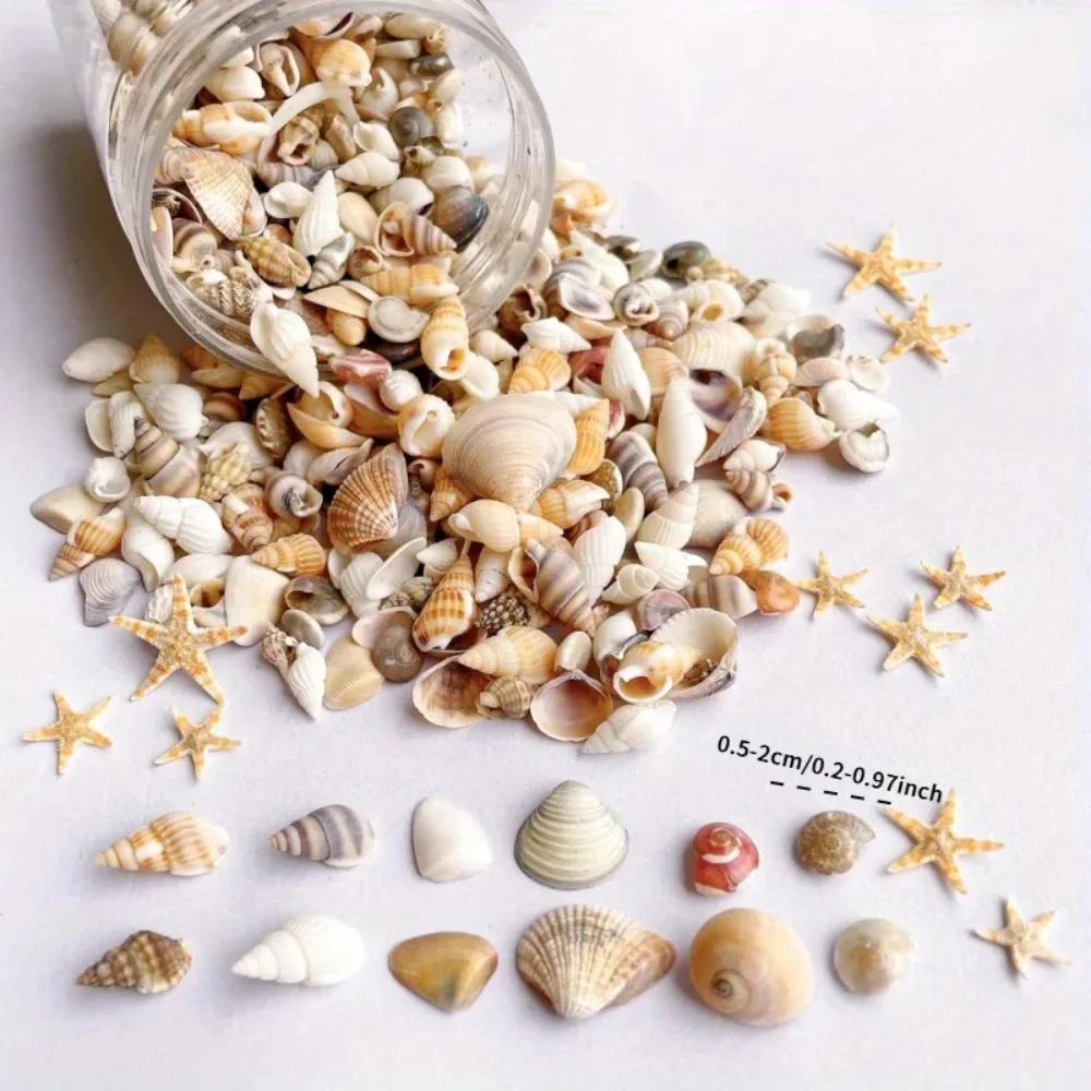 Mini Shell Conch Mixed Set Suitable for DIY Crafts, Scrapbooks, Drifting Bottles, and Aquarium Decoration