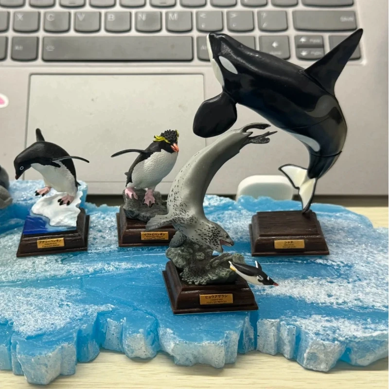 IKIMON tueur baleines Collection figurine jouet japonais véritable Gacha échelle modèle antarctique continent Codex vie chroniques