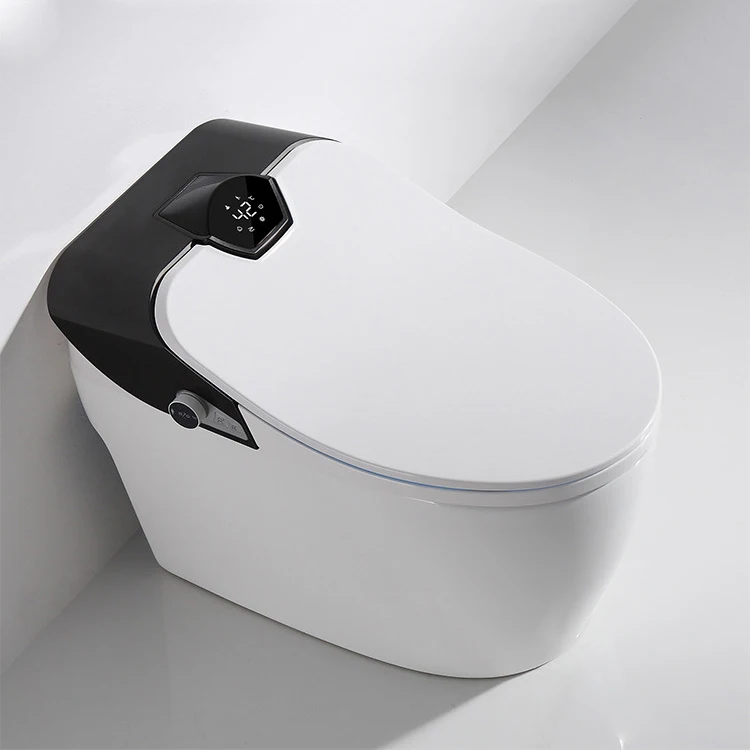 

Smart Toilet Seat Automatic Self Clean English Voice Control Smart Wc 110 Voltage With Hidden Water Tank