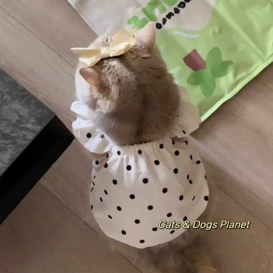 1 Stück klassisches gepunktetes Haustier-Tanktop, Anti-Shedding-Tanktop-Kleid für Haustiere, Teddybär, Kleidung für kleine und mittelgroße Katzen und Hunde – Detail 3