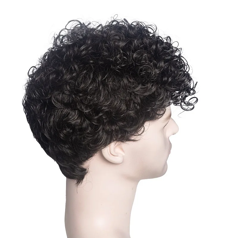 HANEROU Short Men Synthetic Wig Curly Black Natural Wigs with Bangs High Temperature Fiber for Daily Cosplay Party