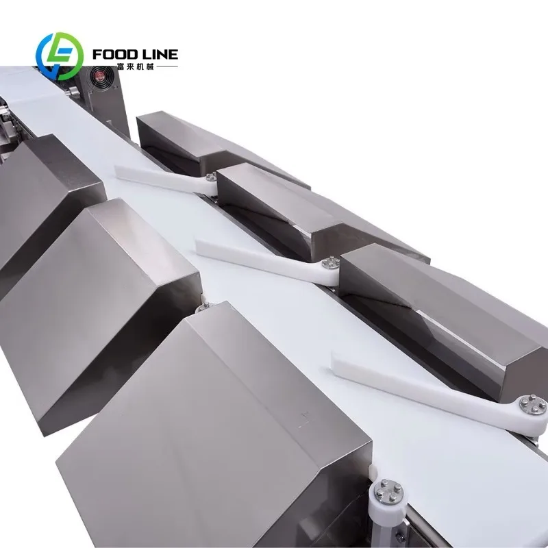 Customize Automatic Seafood Fish Sorting Machine Multi Grade Size Classifier Electric Operation for Fish Market Processing Plant
