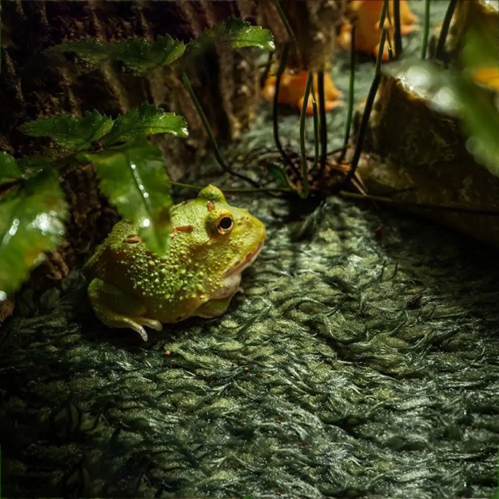 

Moisturizing Reptile Carpet Simulation Green Artificial Grass Mat Foldable Rectangle/Square Micro Landscape For Snake Lizard