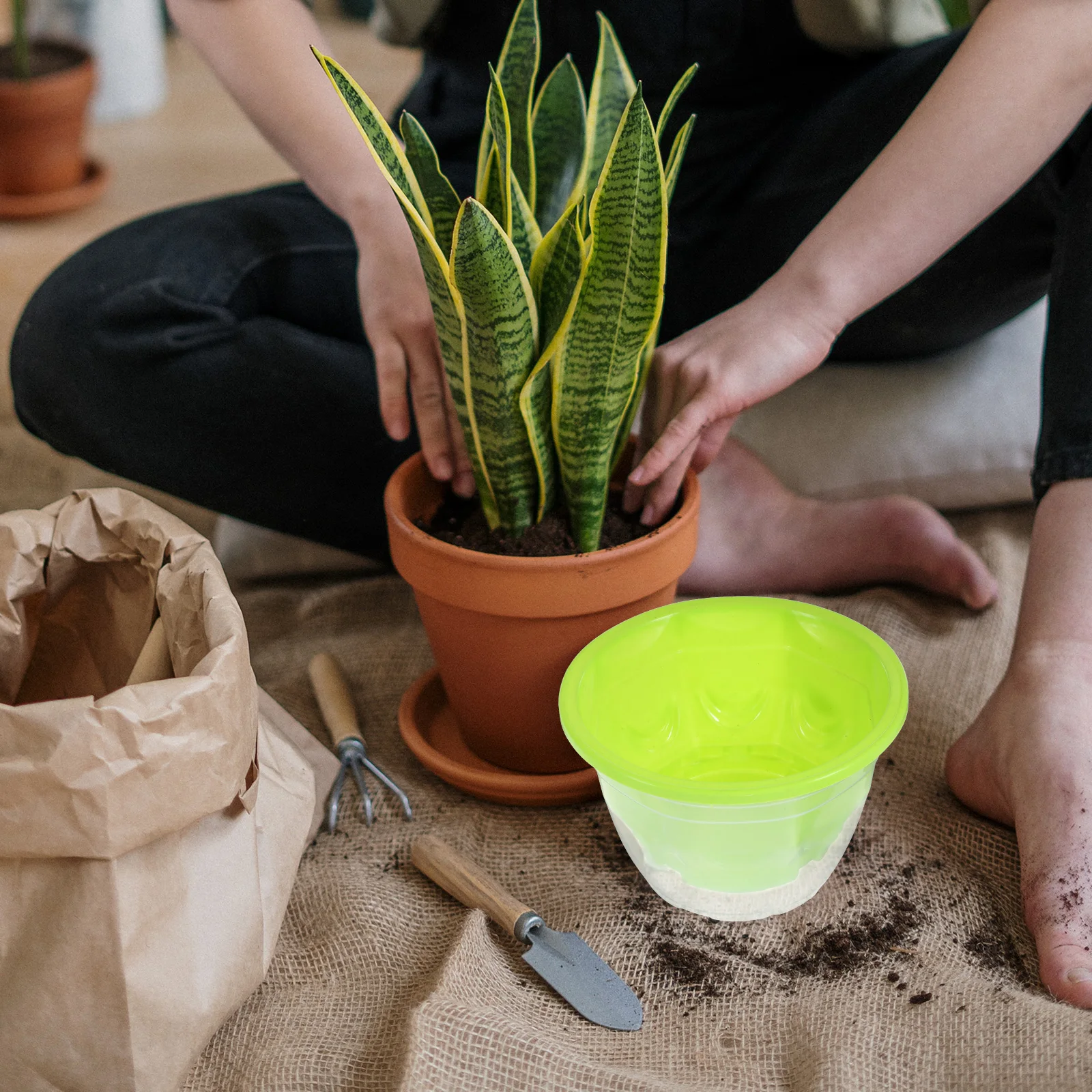 

6 Sets Indoor Plant Pots Automatic Water Absorbent Flower Self-care Planter Hydroponics Light Green Watering Planters Office