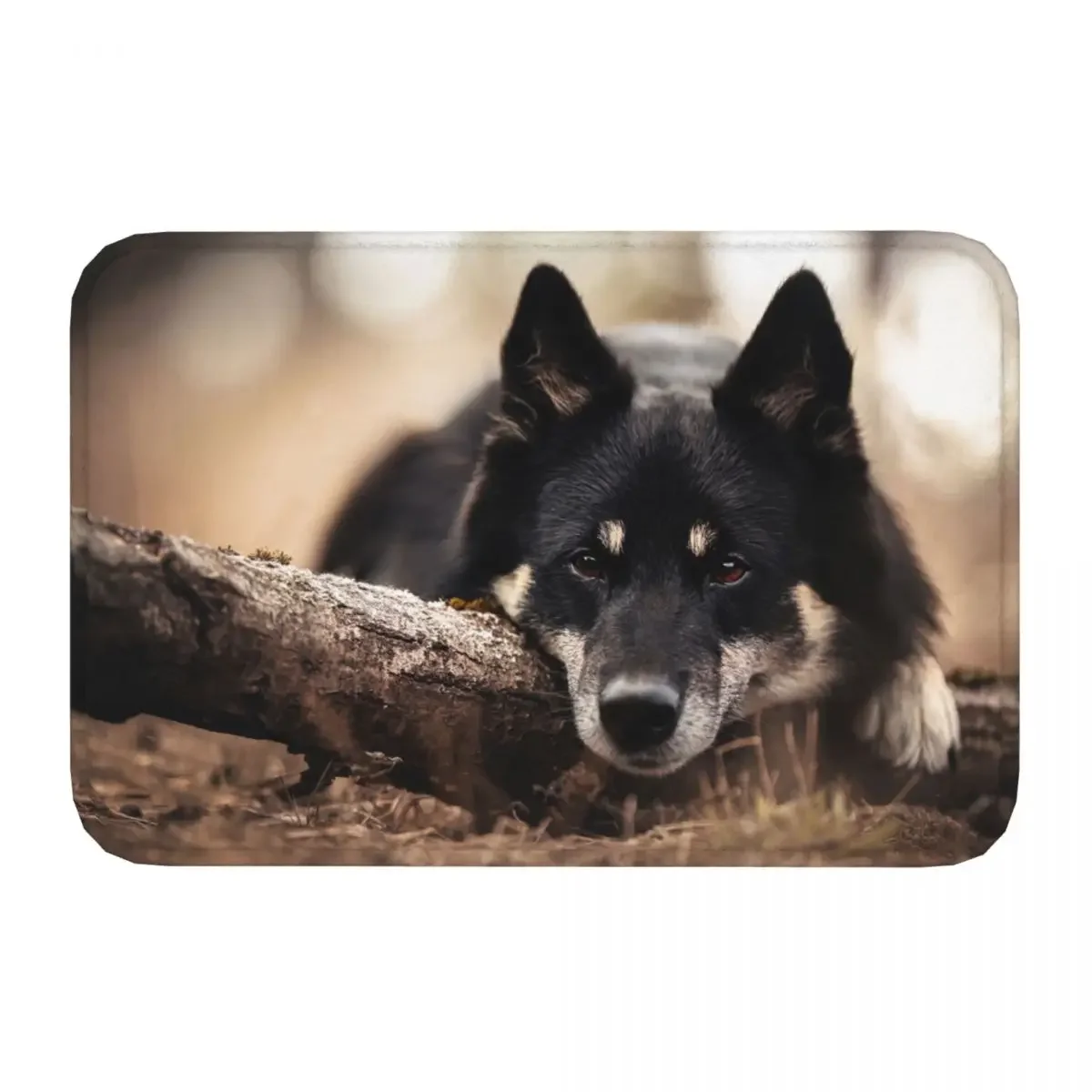 Bathroom Mat Dog Animal Picture Rug Home Doormat Kitchen Carpet Entrance Door