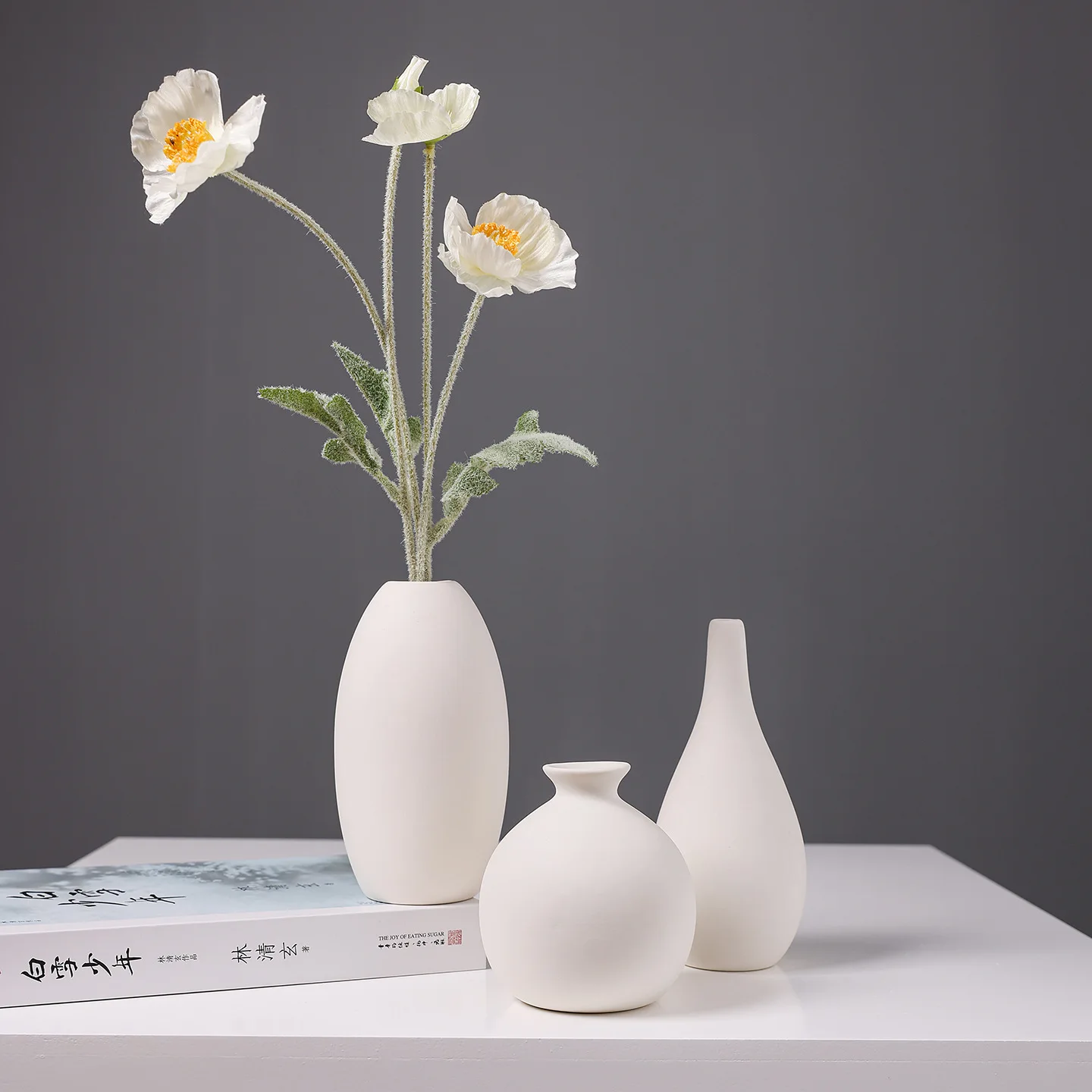 White Ceramic Mini Vase, Chinese Minimalist Desktop Hydroponic Pot for Dried Flowers, Aesthetic