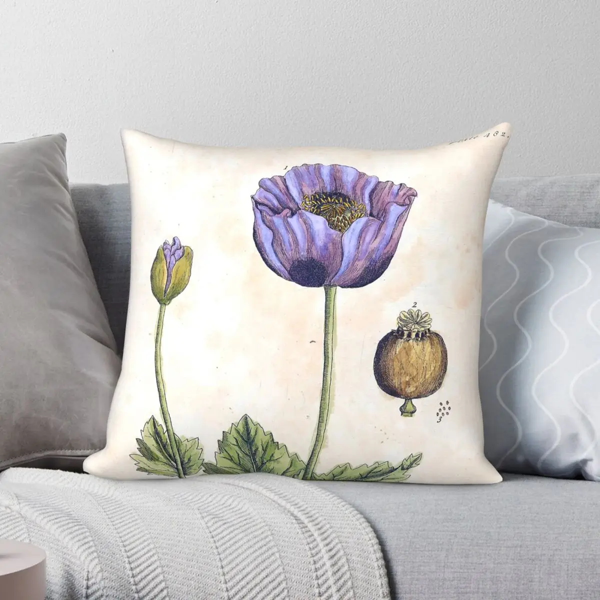 Black Poppy Elizabeth Blackwell Square Pillowcase Polyester Linen Velvet Pattern Decor Throw Pillow Case Sofa Cushion Cover