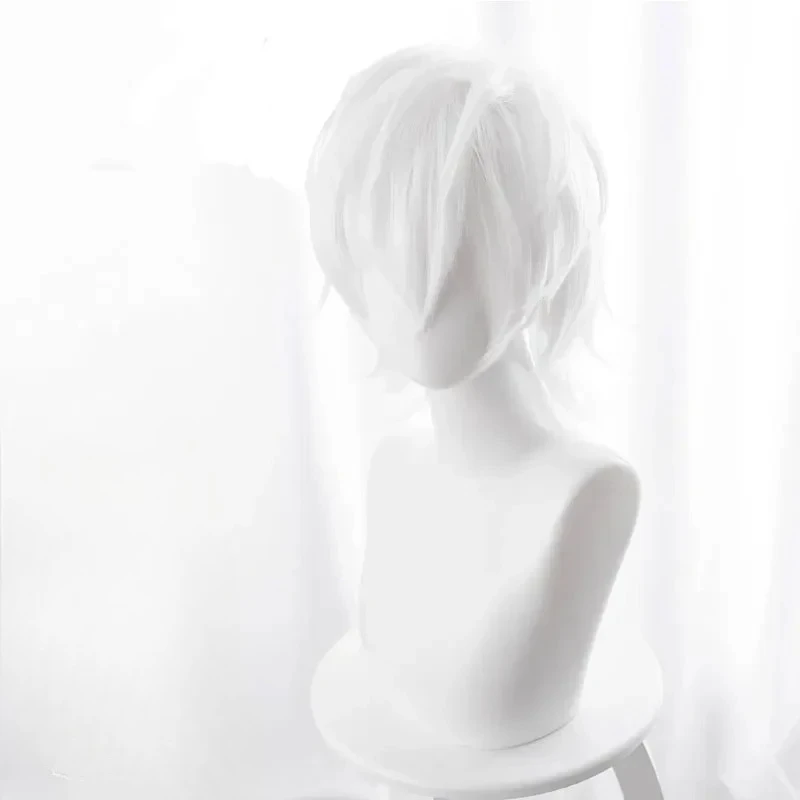 Regulus Corneas Cosplay Perücke Re:ZERO Starting Life in Another World Regulus Corneas Perücken Anime Halloween